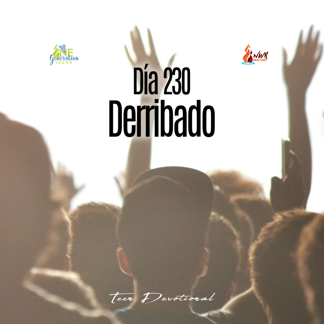 Read more about the article DÍA 230 • Derribado