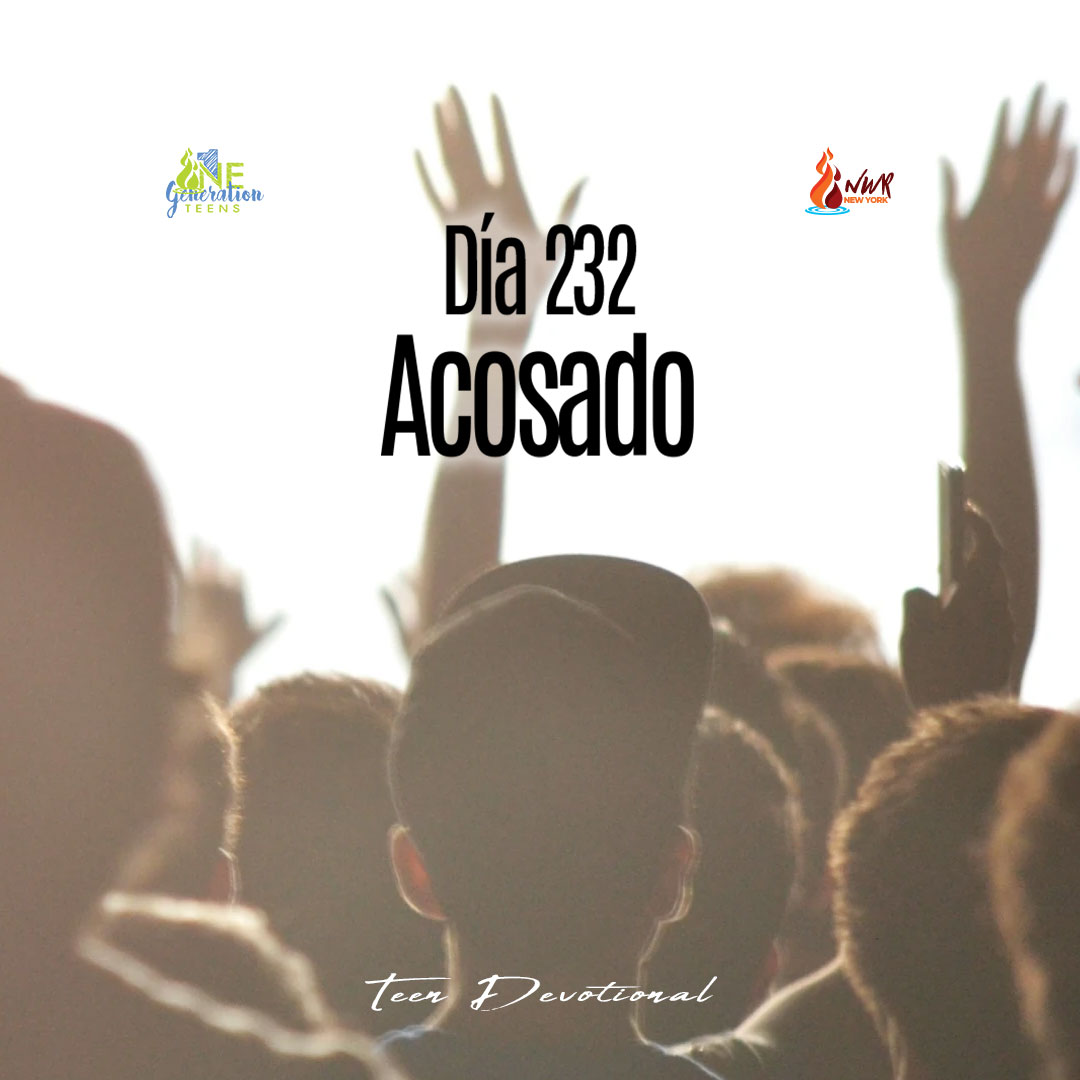 Read more about the article DÍA 232 • Acosado