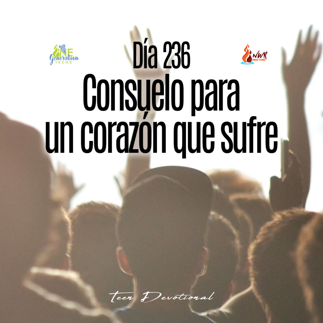 Read more about the article DÍA 236 • Consuelo para un corazón que sufre