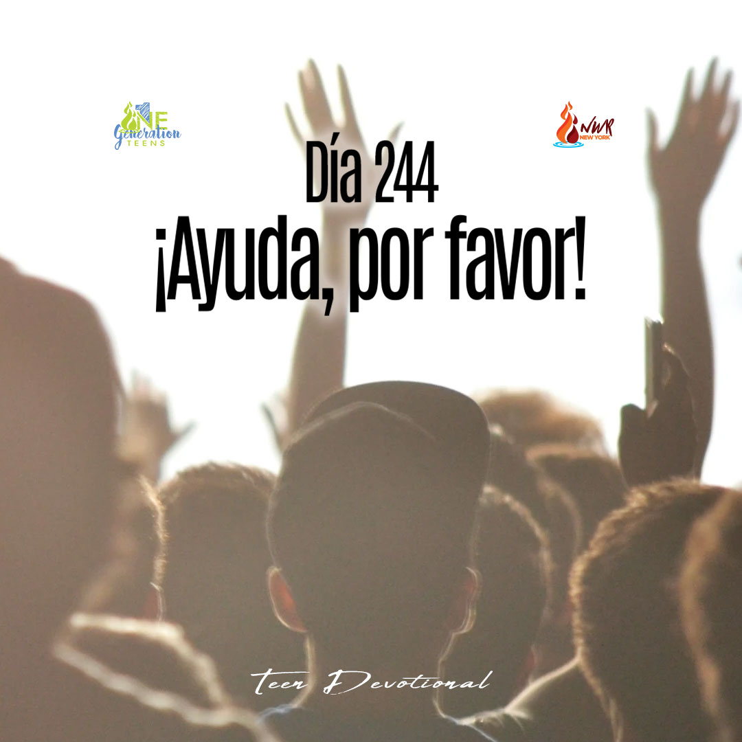 Read more about the article Día 244 • ¡Ayuda, por favor!