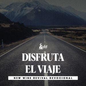 Read more about the article DISFRUTA EL VIAJE