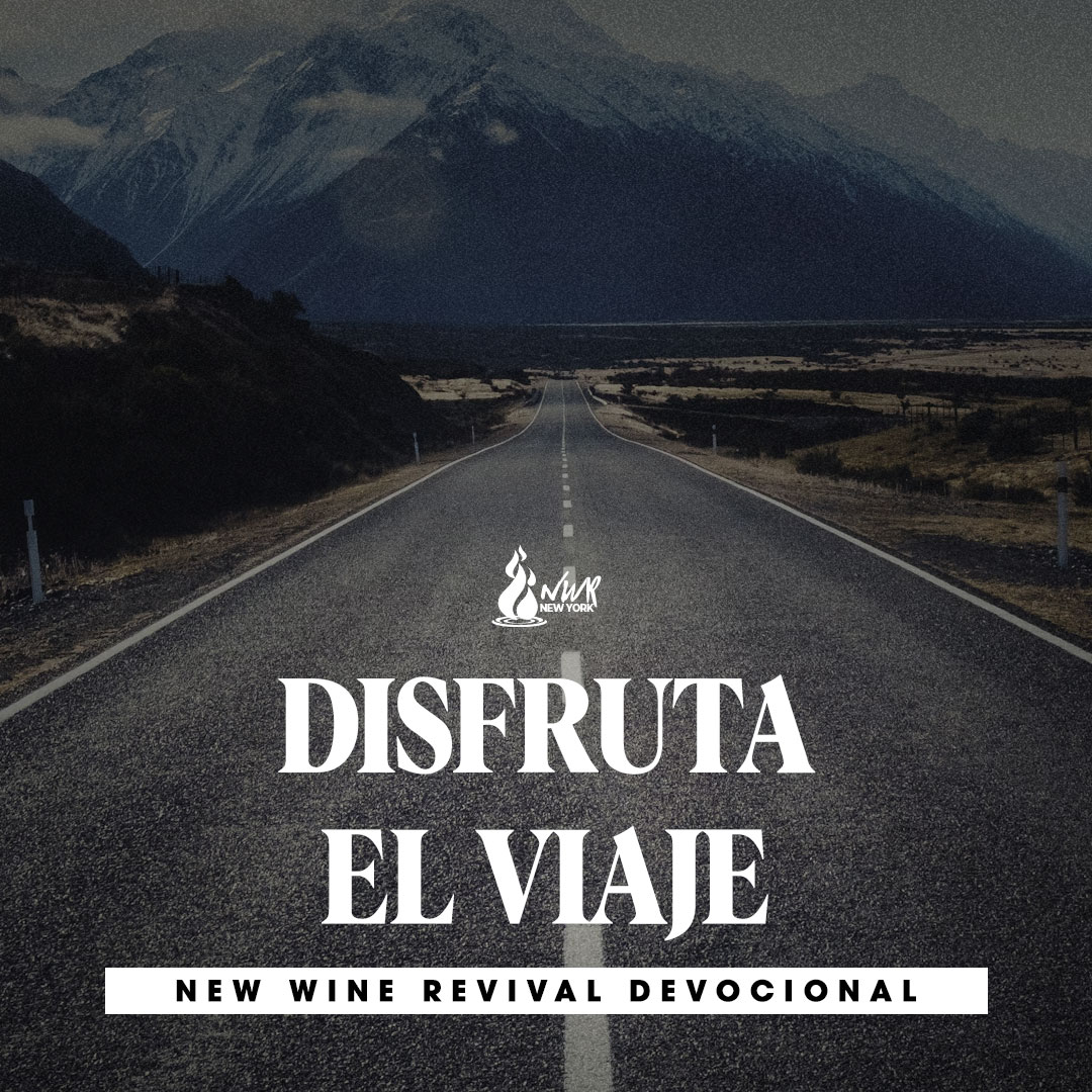 Read more about the article DISFRUTA EL VIAJE