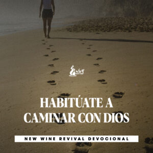 Read more about the article HABITÚATE A CAMINAR CON DIOS