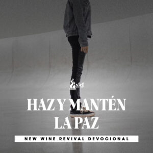 Read more about the article HAZ Y MANTÉN LA PAZ