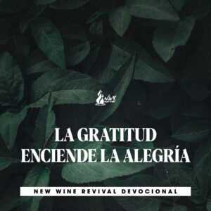 Read more about the article LA GRATITUD ENCIENDE LA ALEGRÍA