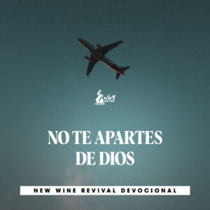 Read more about the article NO TE APARTES DE DIOS