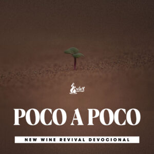 Read more about the article POCO A POCO