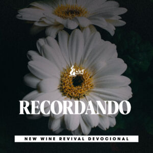 Read more about the article RECORDANDO