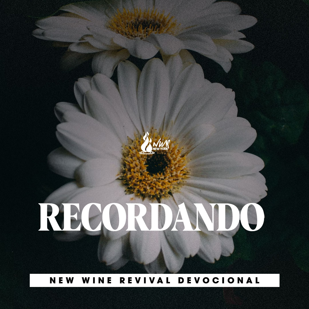 Read more about the article RECORDANDO
