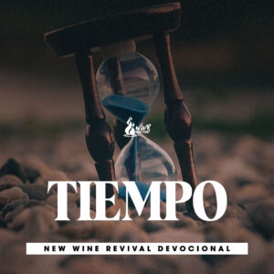 Read more about the article Tiempo