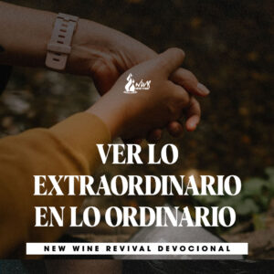 Read more about the article VER LO EXTRAORDINARIO EN LO ORDINARIO