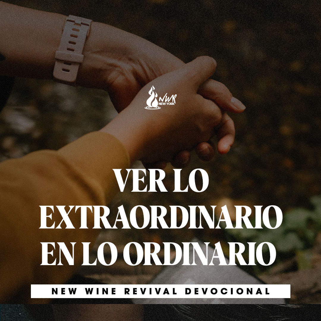 Read more about the article VER LO EXTRAORDINARIO EN LO ORDINARIO