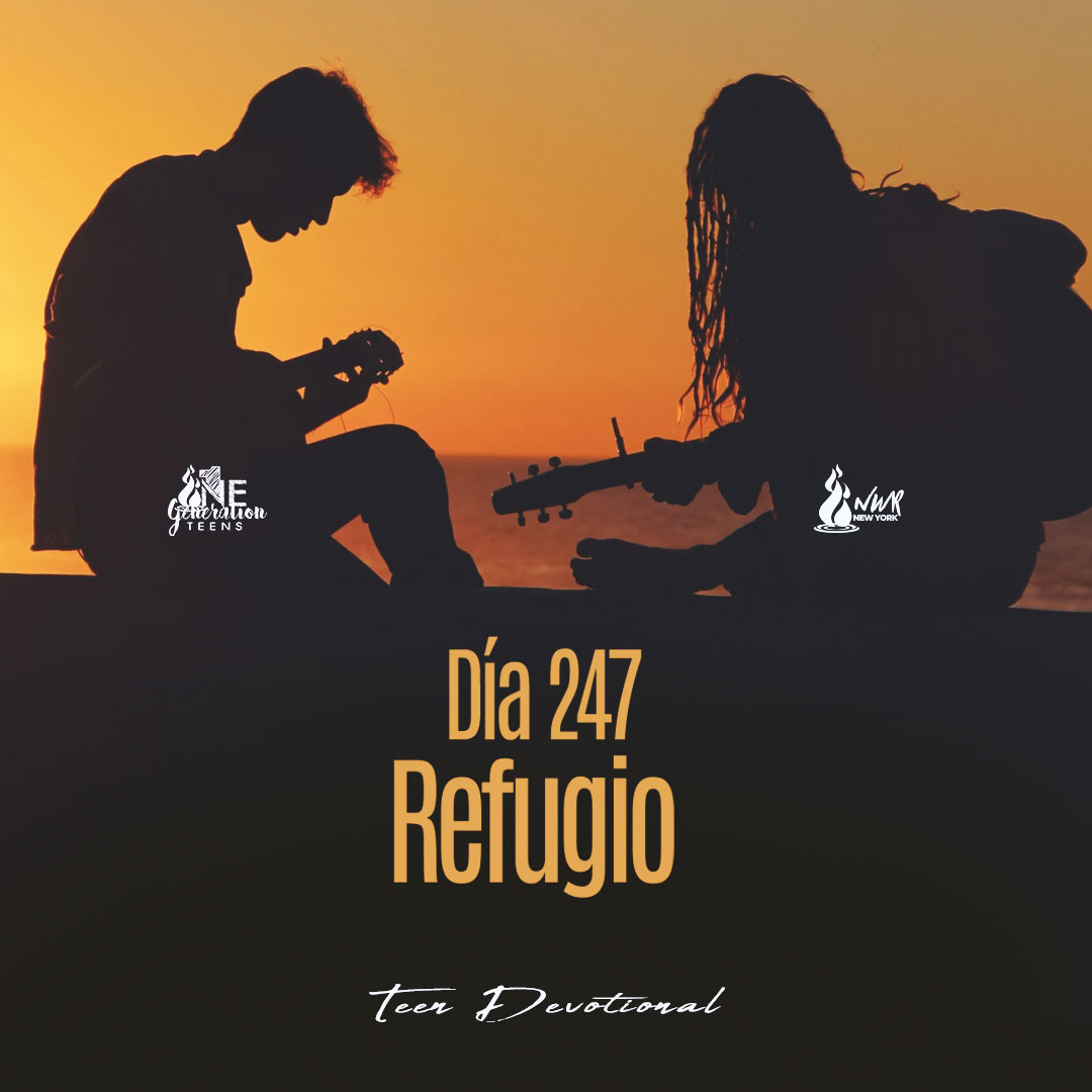 Read more about the article Día 247 • Refugio