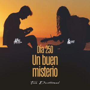 Read more about the article DÍA 250 • Un buen misterio