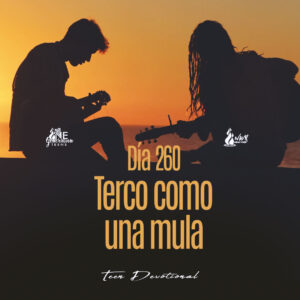 Read more about the article DÍA 260 • Terco como una mula