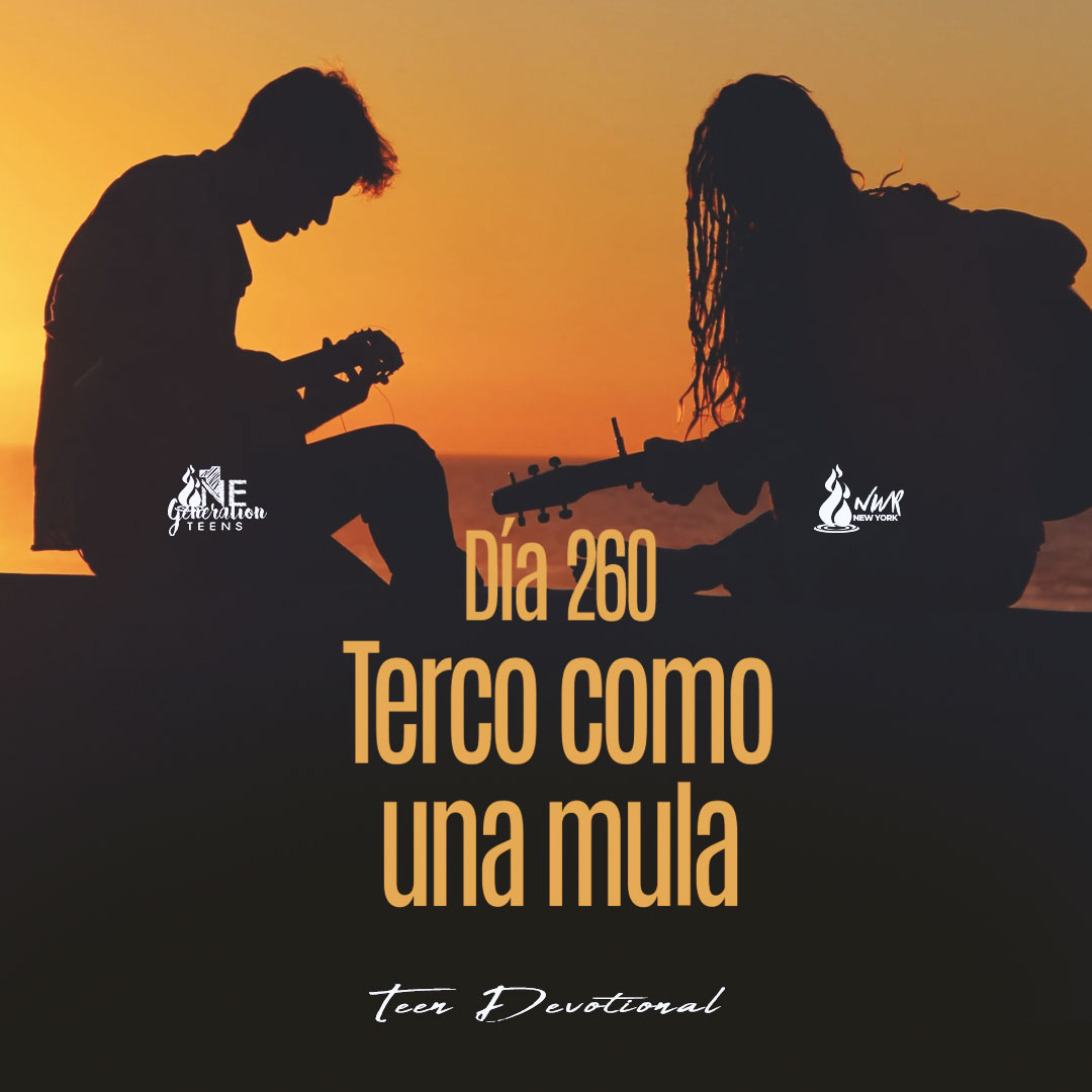 Read more about the article DÍA 260 • Terco como una mula