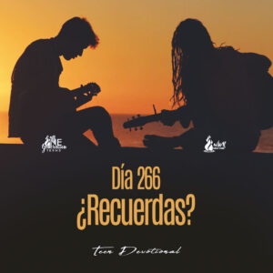 Read more about the article DÍA 266 • ¿Recuerdas?