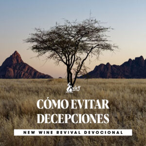 Read more about the article CÓMO EVITAR DECEPCIONES
