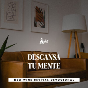 Read more about the article DESCANSA TU MENTE