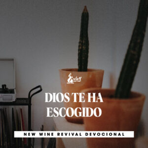 Read more about the article Dios te ha escogido