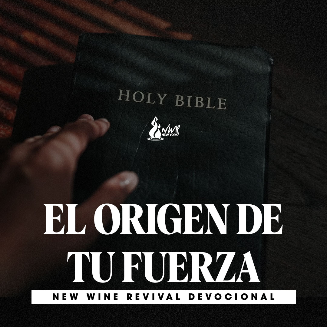 Read more about the article EL ORIGEN DE TU FUERZA