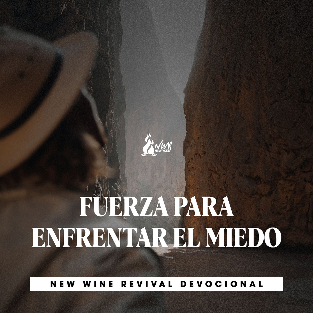 Read more about the article FUERZA PARA ENFRENTAR EL MIEDO