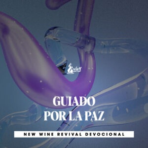 Read more about the article GUIADO POR LA PAZ