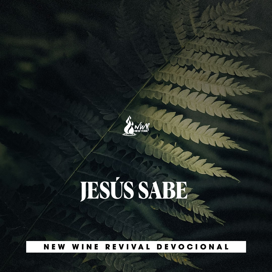 Read more about the article Jesús sabe