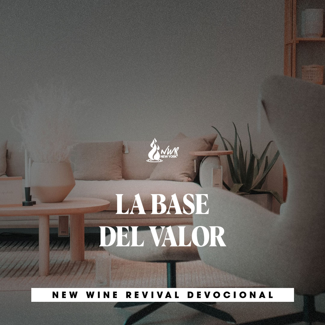 Read more about the article La base del valor