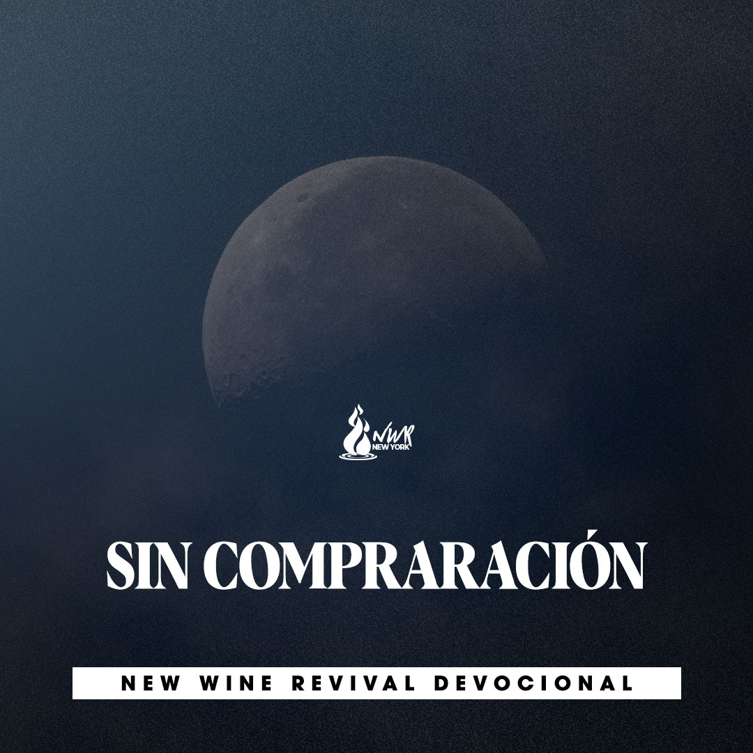Read more about the article SIN COMPRARACIÓN