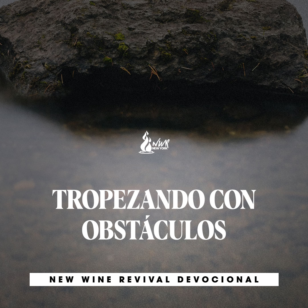 Read more about the article TROPEZANDO CON OBSTÁCULOS