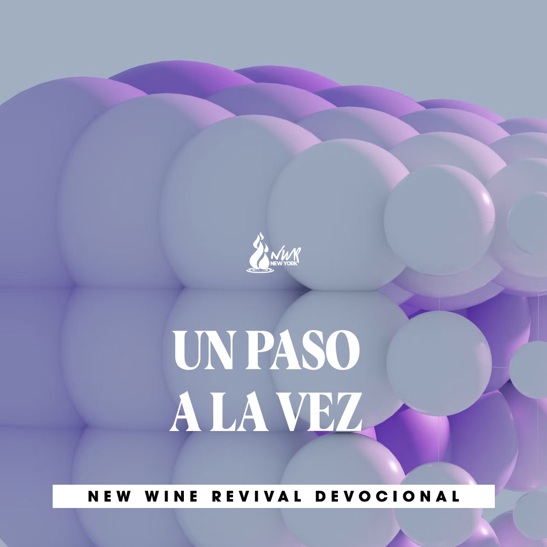 Read more about the article UN PASO A LA VEZ
