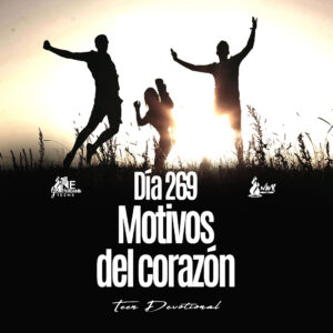 Read more about the article DÍA 269 • Motivos del corazón