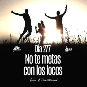 Read more about the article DÍA 277 •  No te metas con los locos