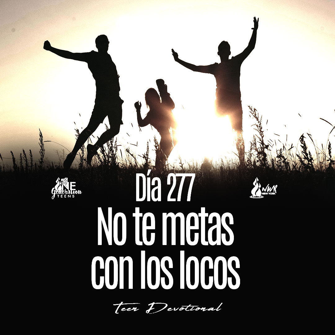 Read more about the article DÍA 277 •  No te metas con los locos