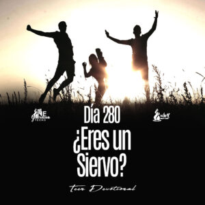 Read more about the article DÍA 280 – ¿Eres un siervo?
