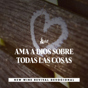 Read more about the article AMA A DIOS SOBRE TODAS LAS COSAS