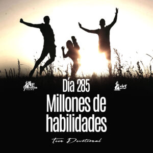 Read more about the article DÍA 285 – Millones de habilidades