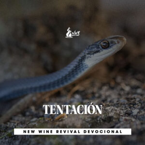 Read more about the article TENTACIÓN