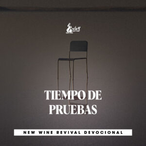 Read more about the article TIEMPO DE PRUEBAS