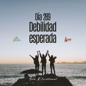 Read more about the article DÍA 289  –  Debilidad esperada