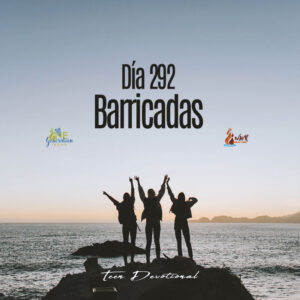 Read more about the article DÍA 292 – Barricadas