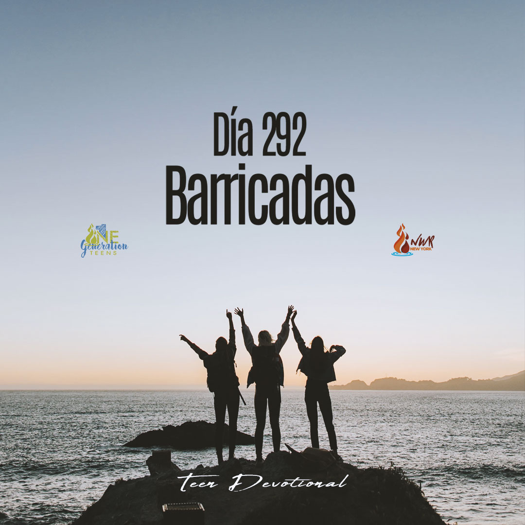 Read more about the article DÍA 292 – Barricadas