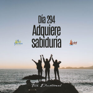 Read more about the article DÍA 294  –  Adquiere sabiduría