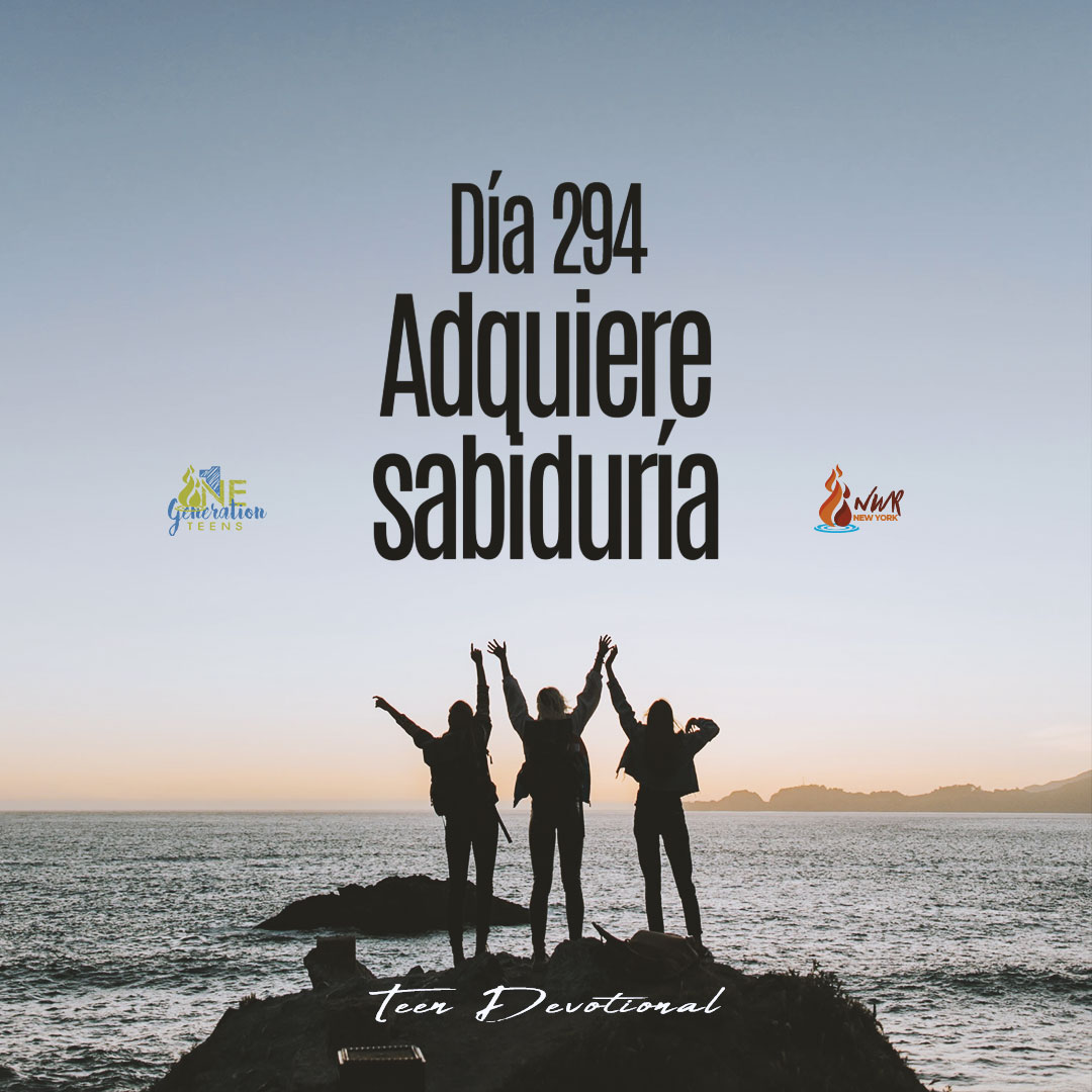 Read more about the article DÍA 294  –  Adquiere sabiduría