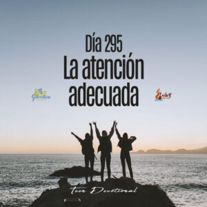 Read more about the article DÍA 295 – La atención adecuada