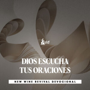 Read more about the article SÉ DILIGENTE