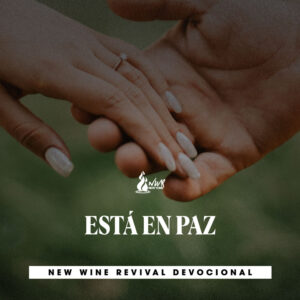 Read more about the article ESTÁ EN PAZ