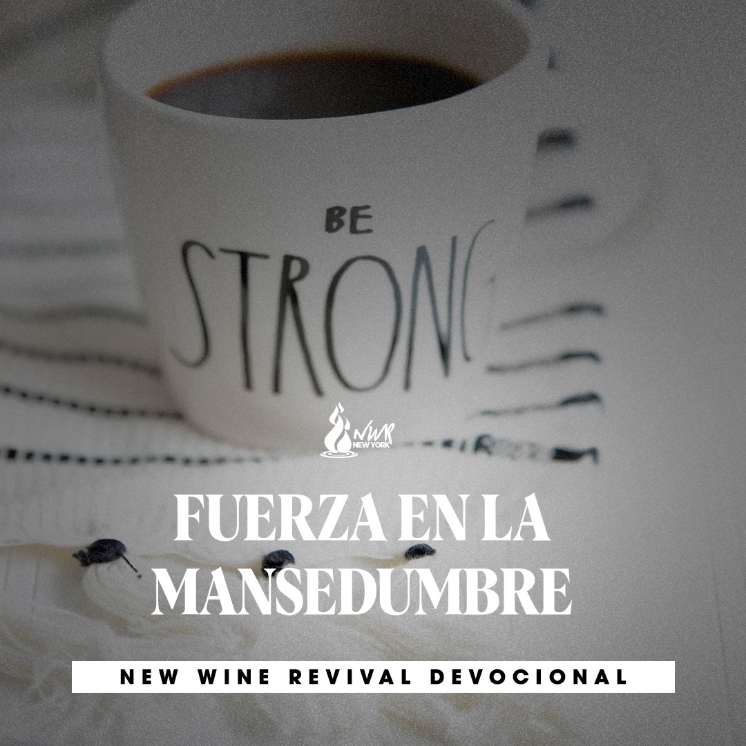 Read more about the article FUERZA EN LA MANSEDUMBRE