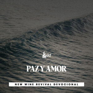 Read more about the article PAZ Y AMOR